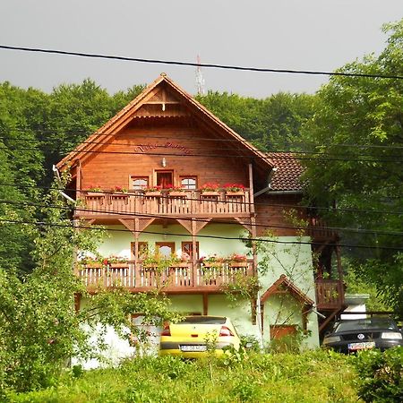 Vila Anna Sovata Exteriér fotografie