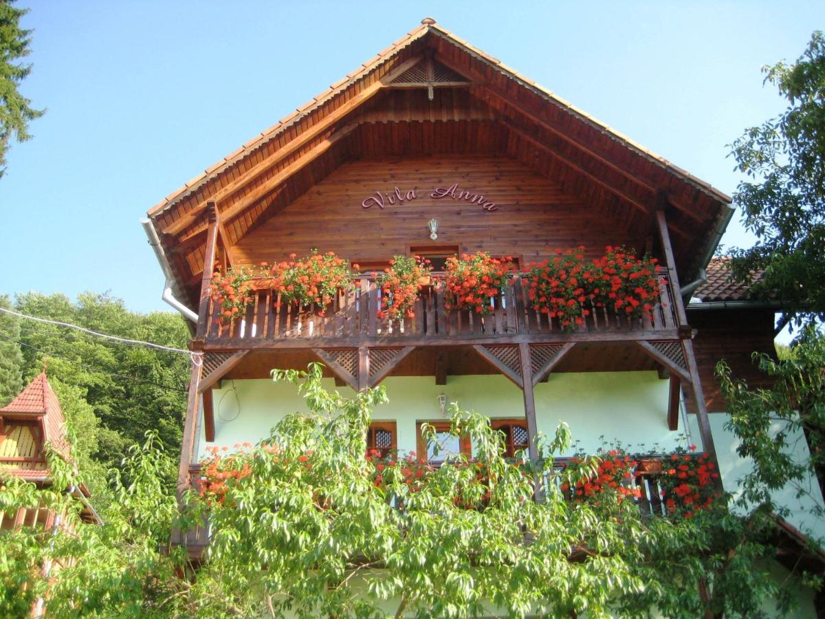 Vila Anna Sovata Exteriér fotografie