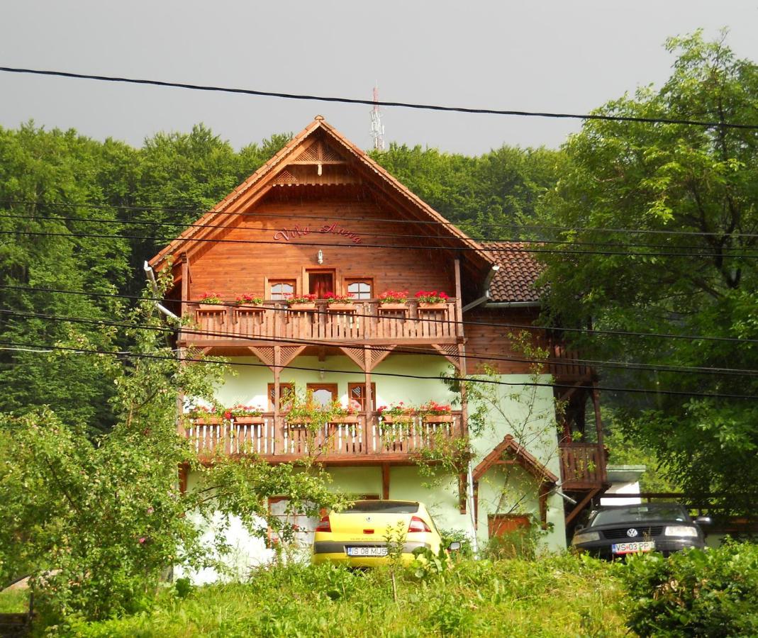 Vila Anna Sovata Exteriér fotografie