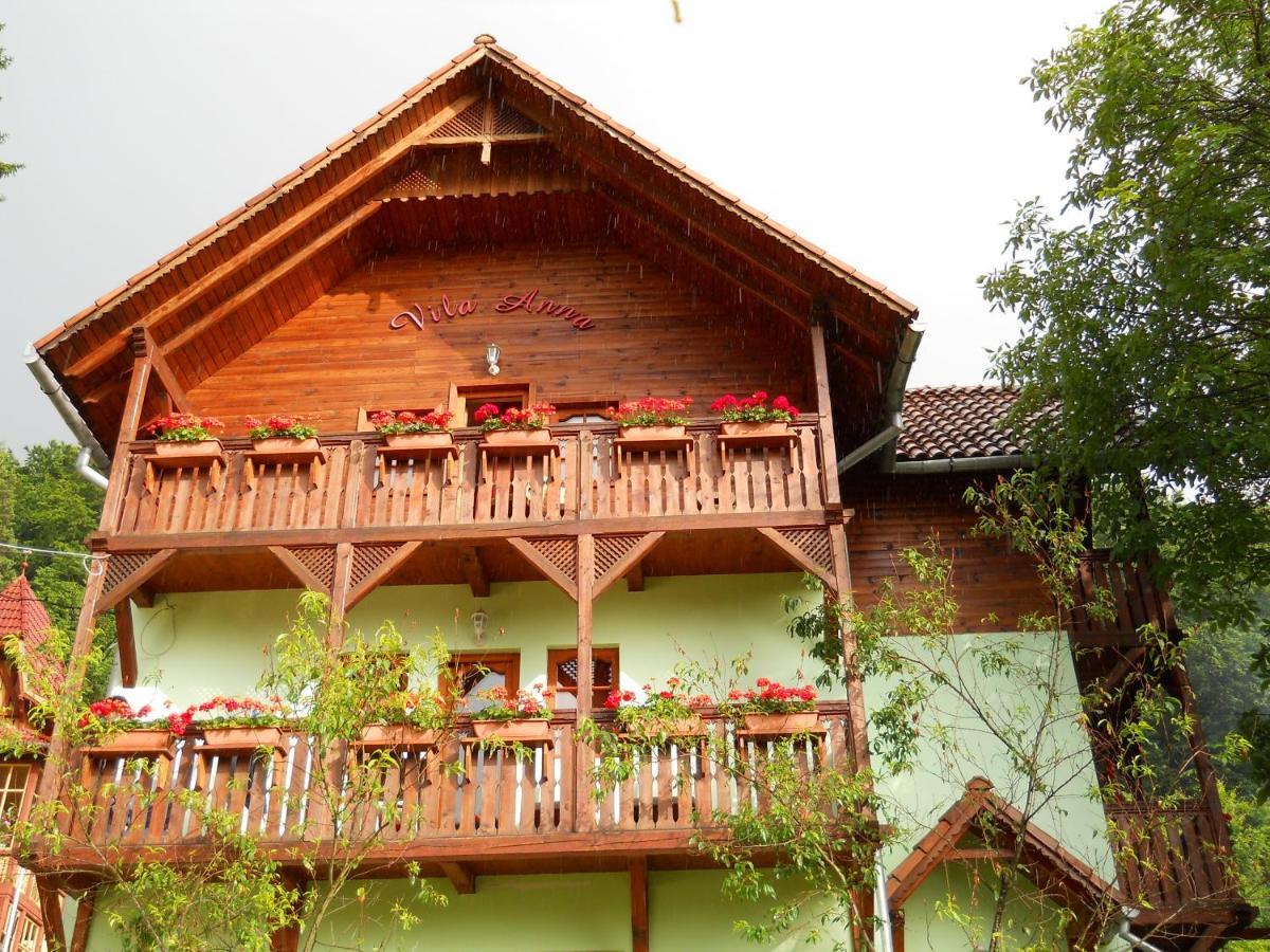 Vila Anna Sovata Exteriér fotografie