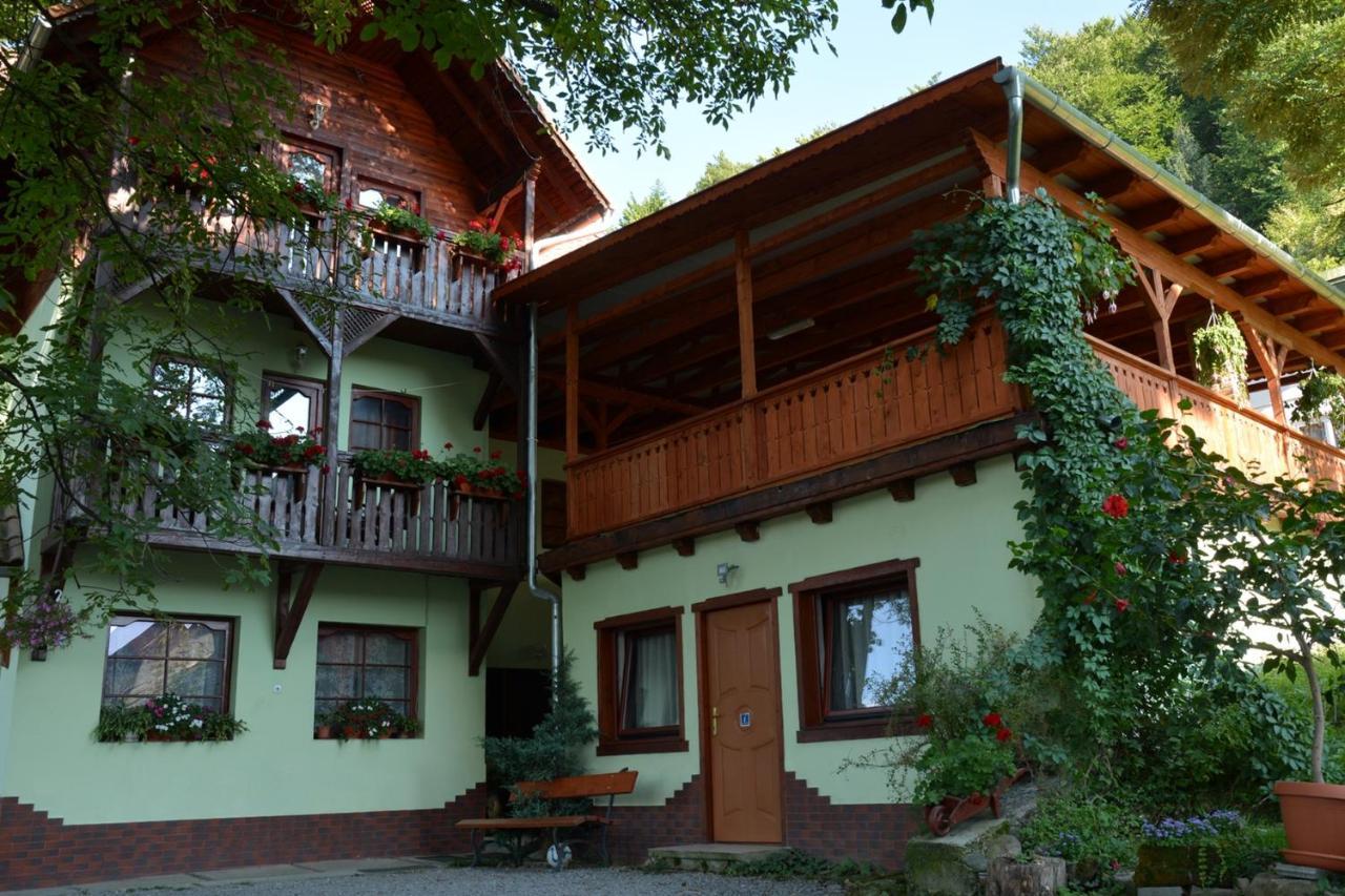 Vila Anna Sovata Exteriér fotografie