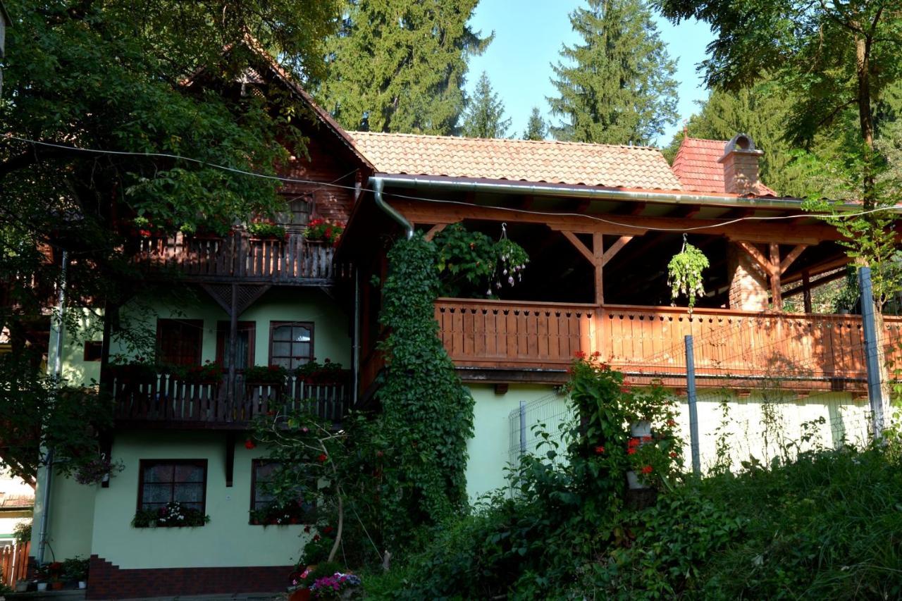 Vila Anna Sovata Exteriér fotografie